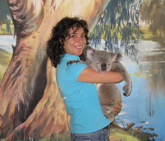 Koala Cuddle